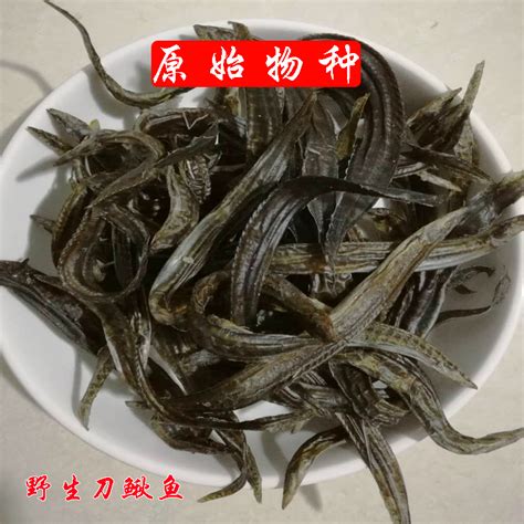 刺大背要多少錢